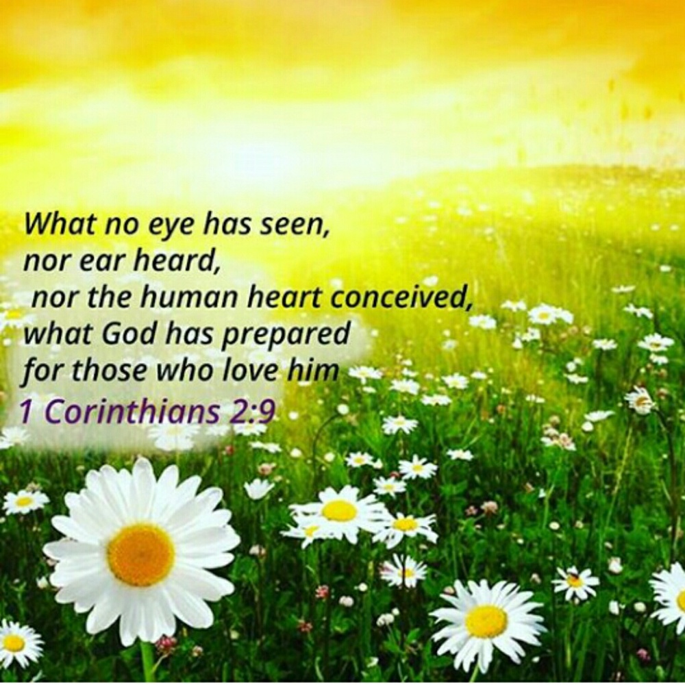 What's Waiting.....